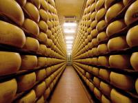 Alimentary detergency for cheese factories